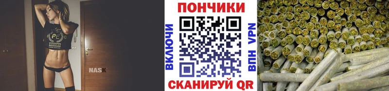Шишки марихуана сатива  закладка  Гай 